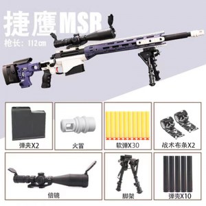 msr 1221 (3)